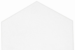 Roca Casablanca White Hexagon